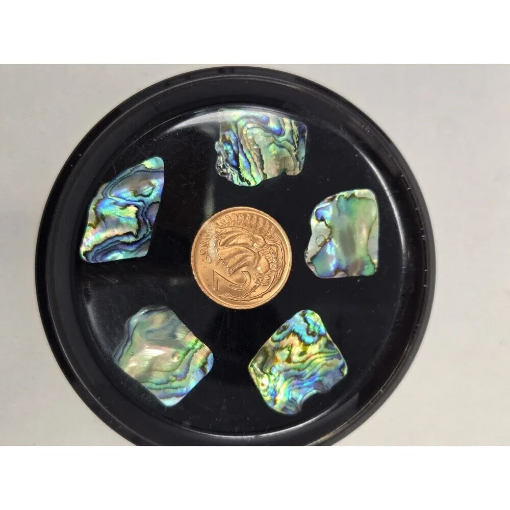 VINTAGE DRINK COASTER SET OF 6 NEW ZEALAND PAUA SHELL & COINS MONEY COLLECTIBLE